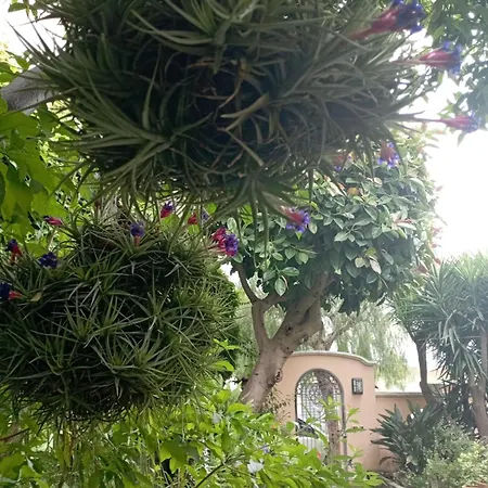 Casa Castagna * ايسكيا