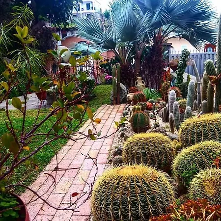 펜션 Casa Castagna 이스키아